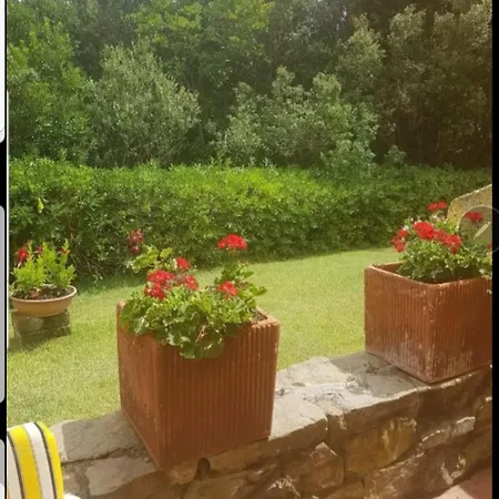 Σπίτι διακοπών La Casa Tra I Pini Punta Ala